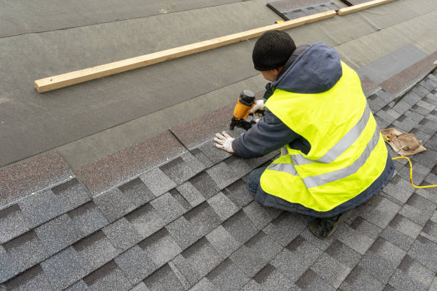 Best Gutter Installation and Roofing  in Mapleton, ND