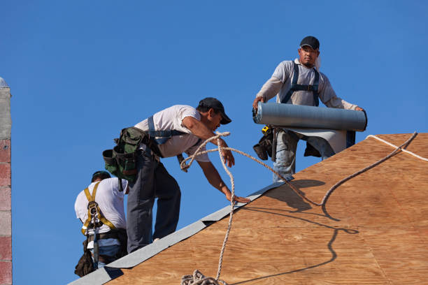 Best Best Roofing Contractors  in Mapleton, ND