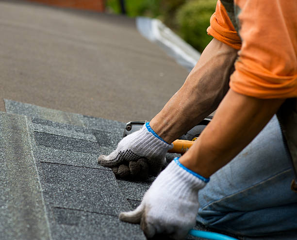 Best Best Roofing Contractors  in Mapleton, ND
