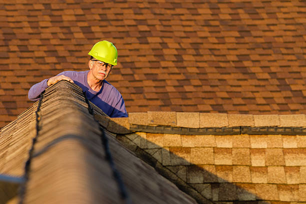 Best Roof Replacement Cost  in Mapleton, ND
