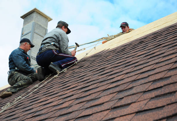 Best Emergency Roof Repair  in Mapleton, ND